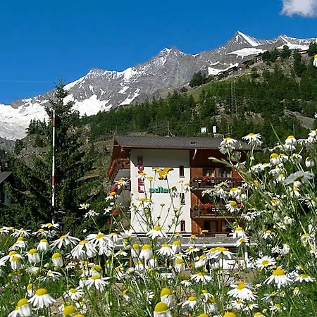 Adler 2* Saas-Grund