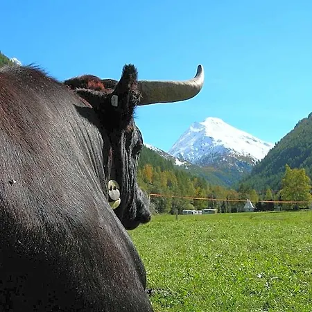 Adler 2* Saas-Grund