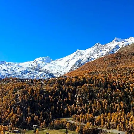 Adler Saas-Grund